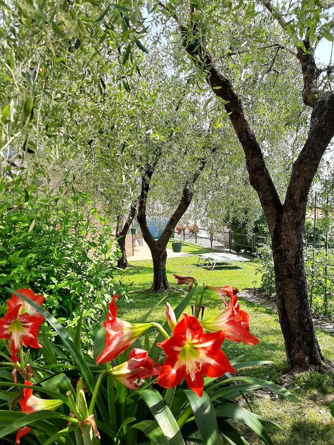 ברנצונה סול גארדה Apartment Maria מראה חיצוני תמונה